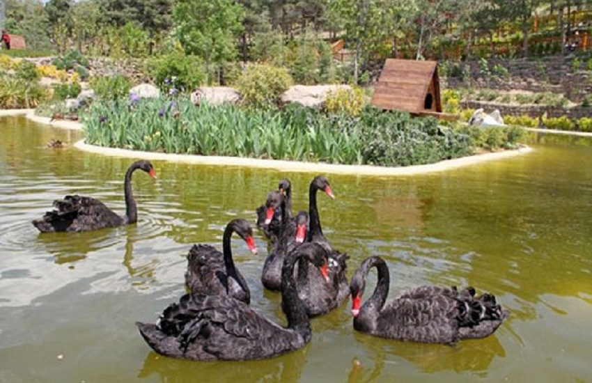 باغ پرندگان تهران