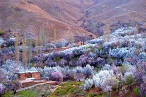 روستای قمصر کاشان | Iran Attractions Inform