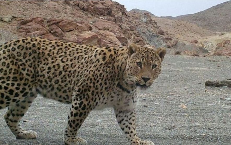 منطقه شکار ممنوع بزمای رشتخوار تربت حیدریه | Iran Attractions Inform