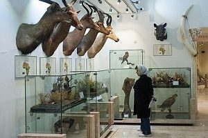 موزه بزرگ تاریخ طبیعی خراسان
