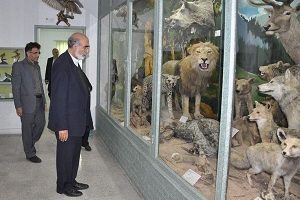 موزه علوم و تاریخ طبیعی مشهد