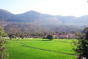 Kamfiruz吉達薩爾村