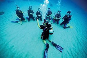 Diving Centers (Kish Isla)