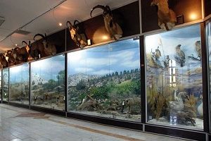 Museo del geoparque de la isla de Qeshm