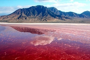 Lipar粉紅礁湖