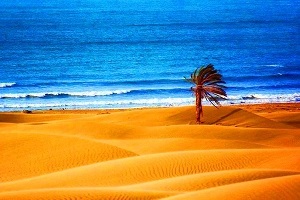 شاطئ دارك، جابهار | التقاء الصحراء والبحر