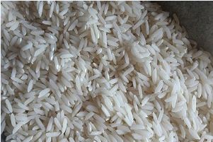 Iranischer Reis